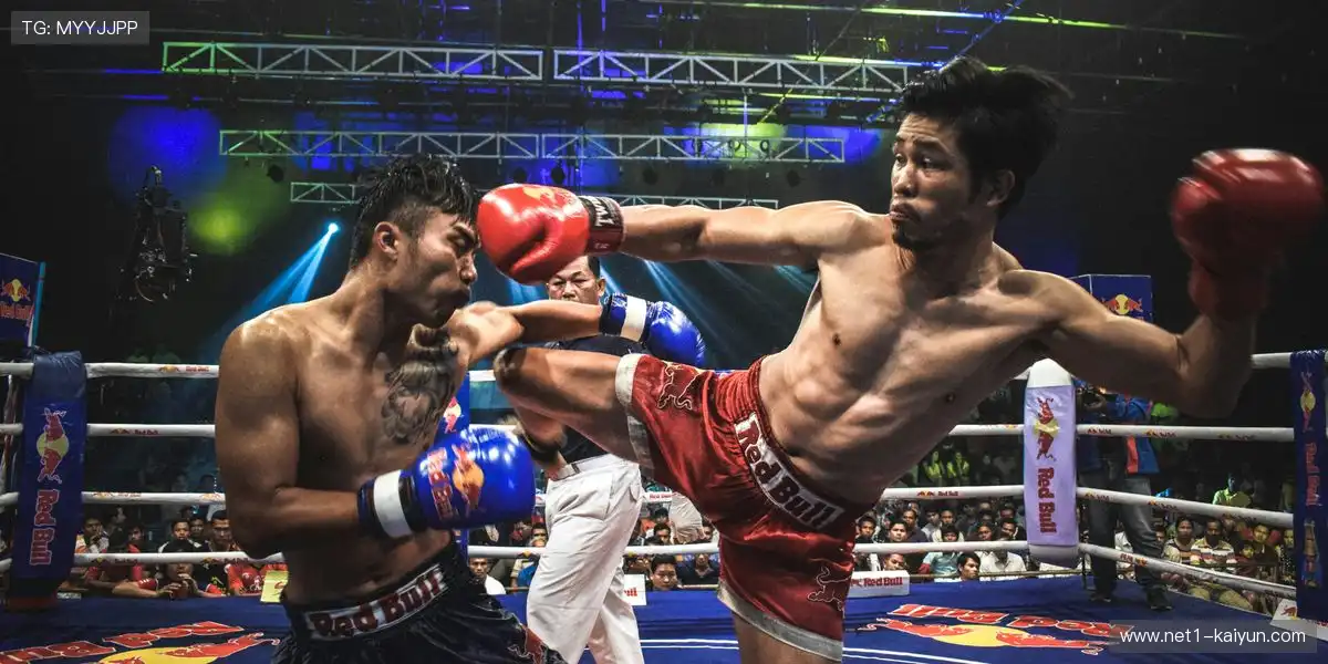 📡 赛场实时监测，第一时间优化策略！